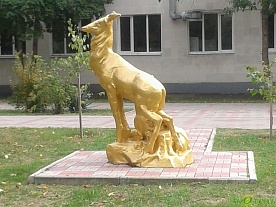 Фотогалерея