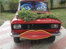 Фотогалерея