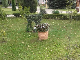 Фотогалерея