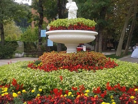 Фотогалерея